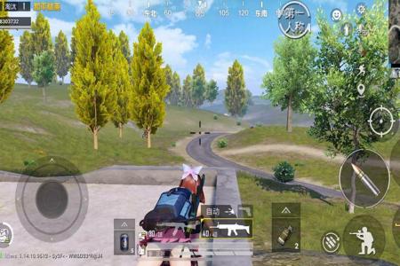 2024和平精英外挂苹果(2024和平精英外挂多吗) 2024和平精英外挂苹果(2024和平精英外挂多吗)